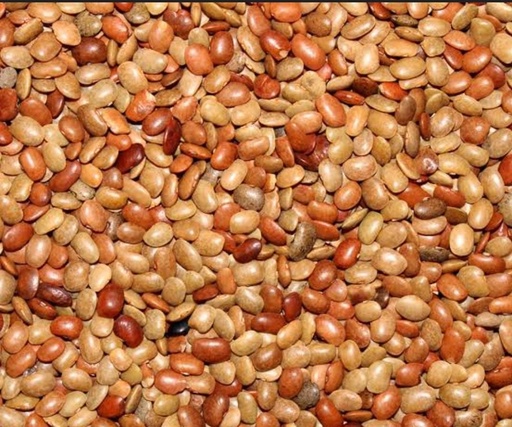 HORSEGRAM 500G 
